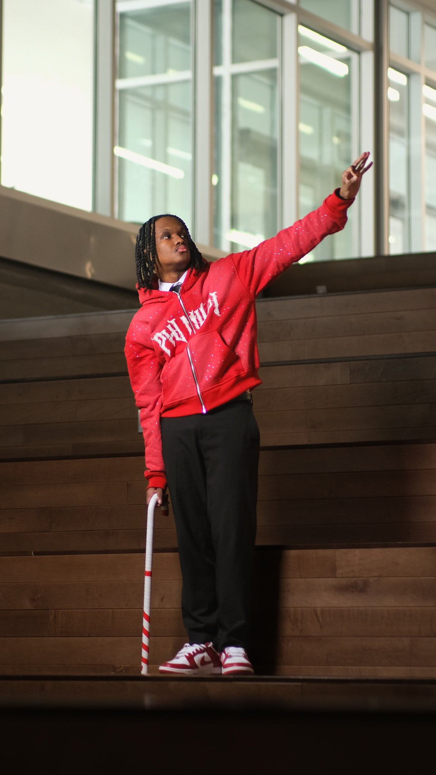 Phi Nu Pi Diamond Hoodie