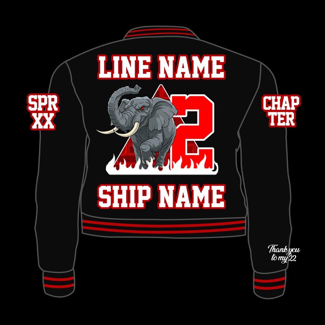 DST Cropped Bomber